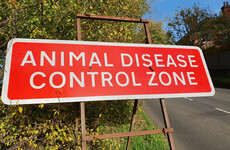 Two cases of bird flu detected in UK poultry workers