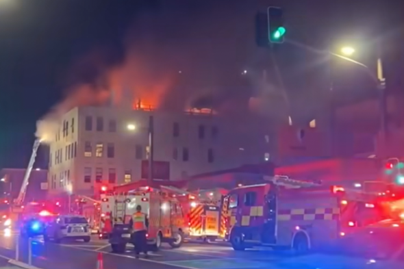 Hostel blaze in New Zealand that killed at least six people being treated as arson - Vimarsana News