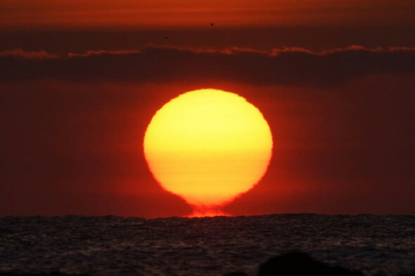 Hottest year of modern records highly likely to come in next five years - Vimarsana News