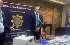 Simon Harris: 'It's not for any of us' to question decisions of Gardaí on the ground at protests