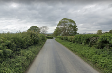 Witness appeal after man (70s) dies in single vehicle collision in Co Meath