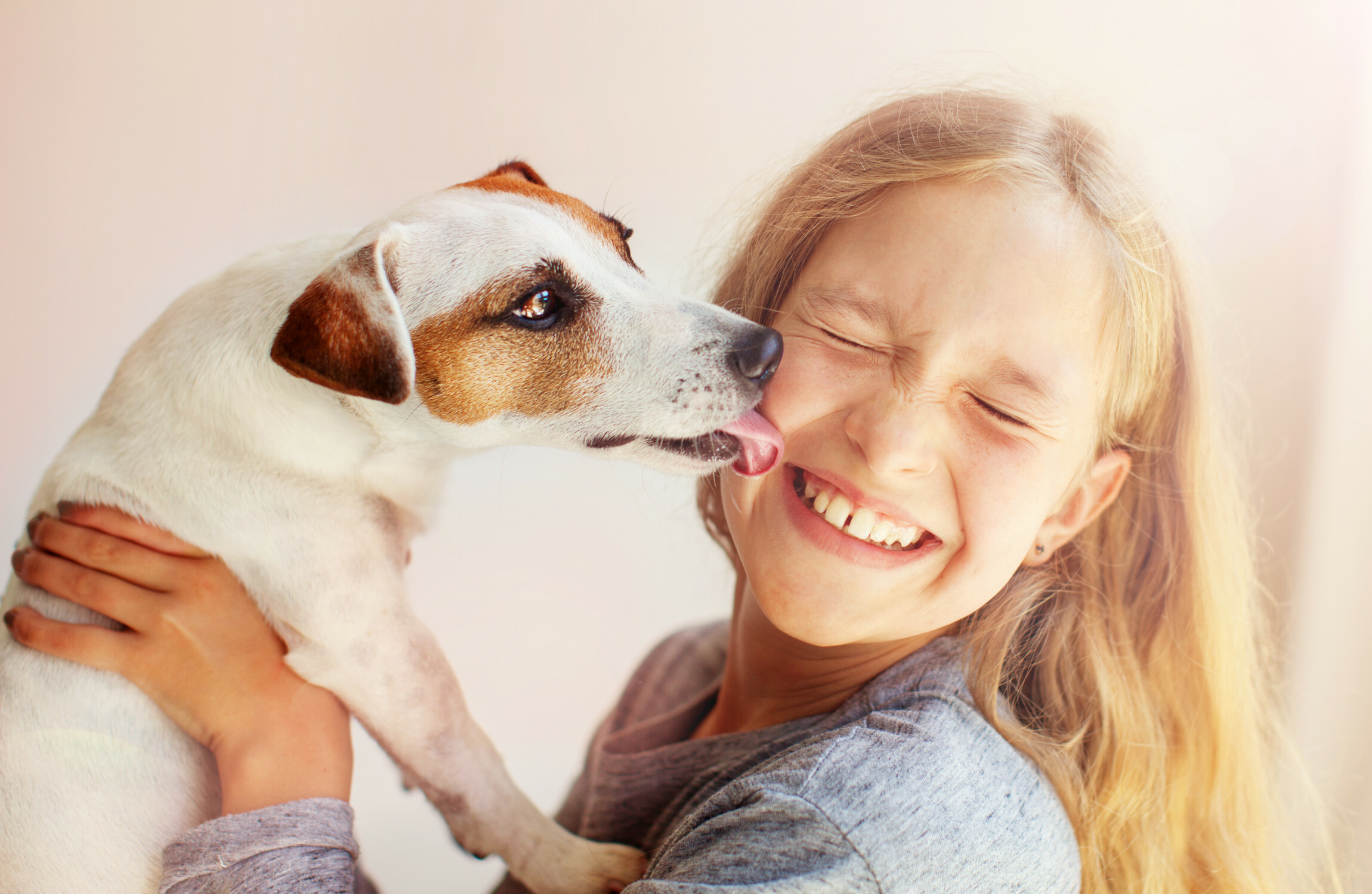 Why owning a pet is good for your health - Vimarsana News