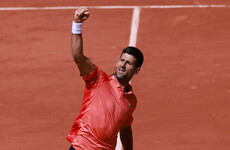 Djokovic reaches French Open last 16 as Pegula, Rublev exit