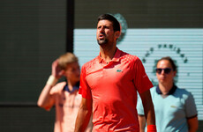 Novak Djokovic blasts French Open fans