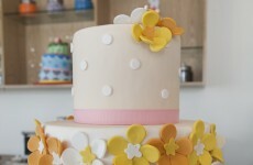 Ready, set, BAKE: The Great Irish Bake Off is looking for contestants