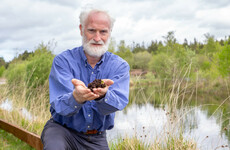 Environmentalist Duncan Stewart to be nominated for Freedom of Dublin