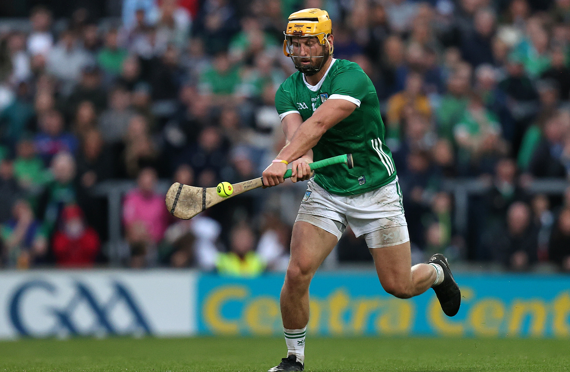 'There was 30,000 in the stadium so it was a big ask for a 17-year-old': The rise of Tom Morrissey - Vimarsana News
