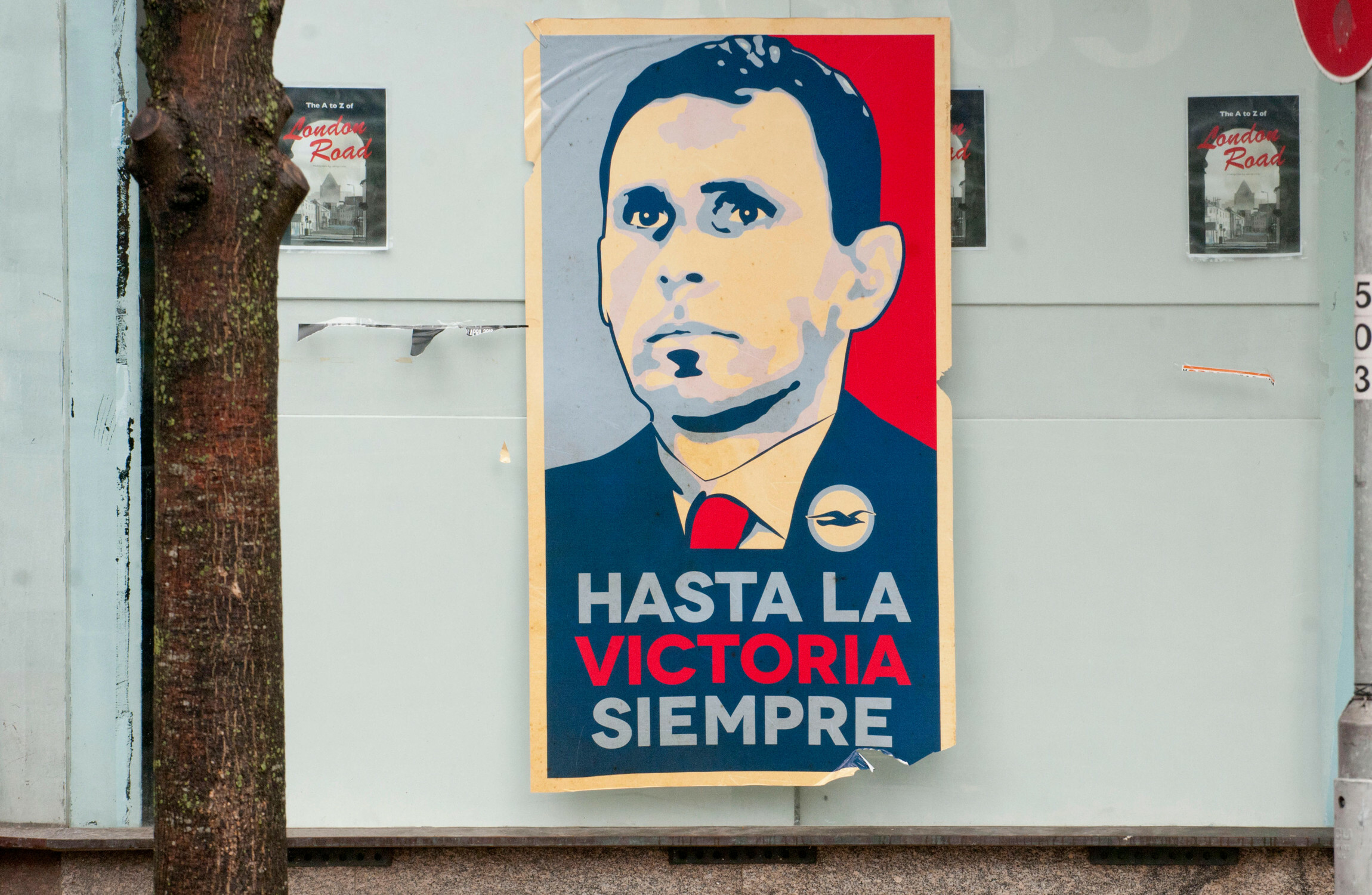 The two sides of Greece boss Gus Poyet - a revolutionary with a fondness for musicals - Vimarsana News