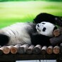 Draw Me Like One of Your French Girls Pic of the Day