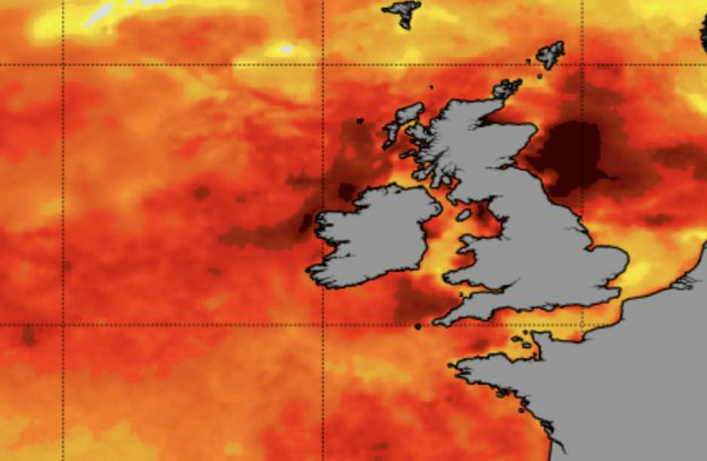 'Unprecedented' marine heatwave taking place off Irish and British coasts - Vimarsana News