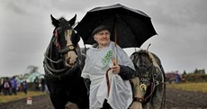 Over 50,000 brave the mud and rain for National Ploughing Championships