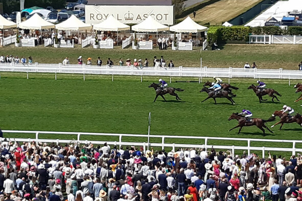 Galway jockey produces 150-1 surprise at Royal Ascot - Vimarsana News