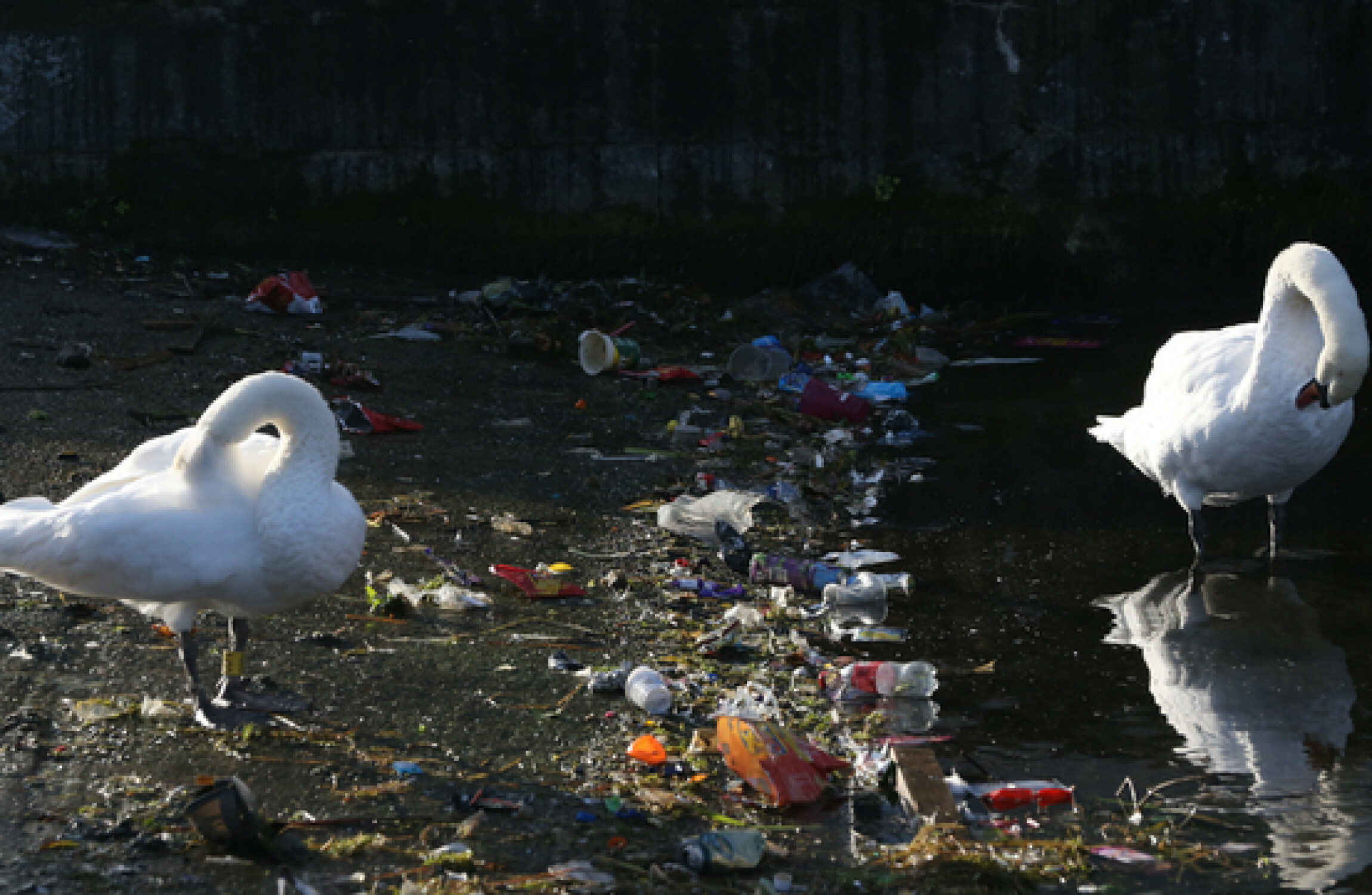 Survey finds Irish towns 90% clean but city areas still littered and Dublin 'deteriorating' - Vimarsana News