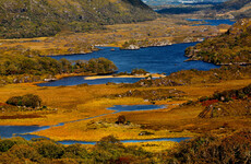 EU court says Ireland broke nature laws by failing to protect hundreds of sites