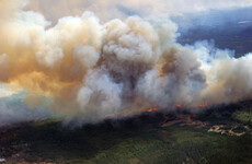 Analysis: The Canadian wildfires are a wakeup call for Ireland on our climate commitments