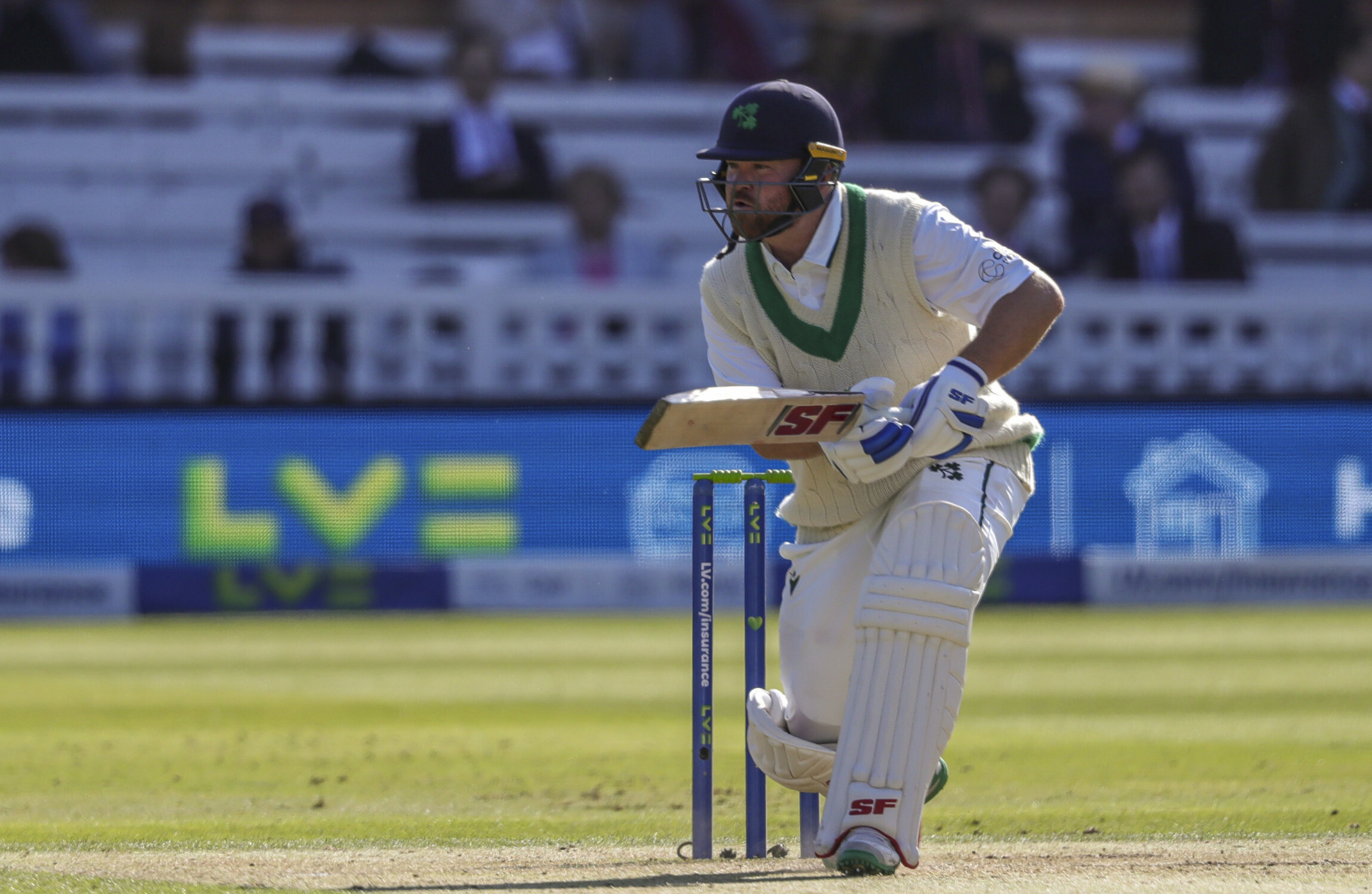 Young wickets, Stirling runs as Ireland beat the USA in play-off match - Vimarsana News