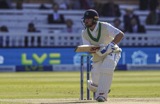 Young wickets, Stirling runs as Ireland beat the USA in play-off match
