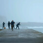 Quiz: How much do you know about these storms, hurricanes and heatwaves?