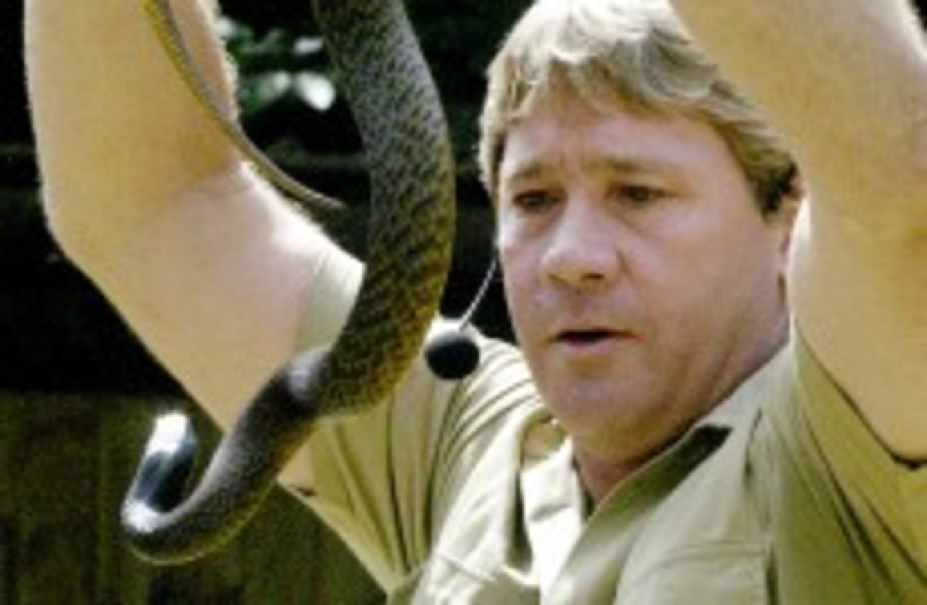 Стив Ирвин со змеями