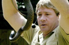 Teen critically ill after bite from world's most venomous snake