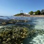 Laziest holiday ever? Google brings you scuba diving