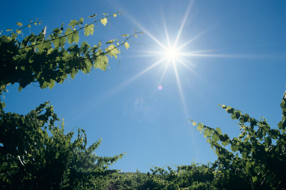 Ireland has become warmer across all seasons in the last 30 years - Vimarsana News