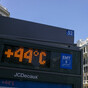What impact will the European heatwave have on Irish supermarket shelves?