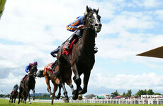 Horse Racing body closed down racing academy amid 'safety' concerns