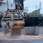 Russia urged to avert global food crisis at UN after pulling out of Black Sea grain deal