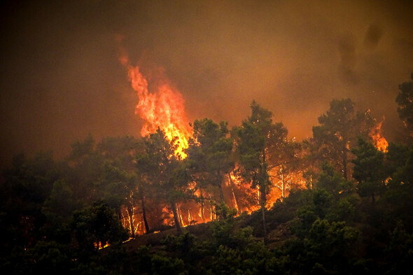 Wildfires continue to rage in Rhodes after 30,000 people moved to safety - Vimarsana News