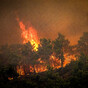 Irish citizens warned to 'stay away' from areas struck by Rhodes wildfires as 30k people evacuated