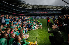 Limerick's unsparing second half crowns an exceptional four years