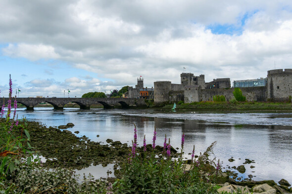 Limerick to vote for Ireland's first directly elected mayor in 2024 - Vimarsana News