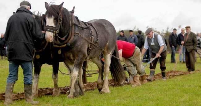 Enda at the ploughing before championships draw to a close
