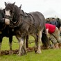 Enda at the ploughing before championships draw to a close
