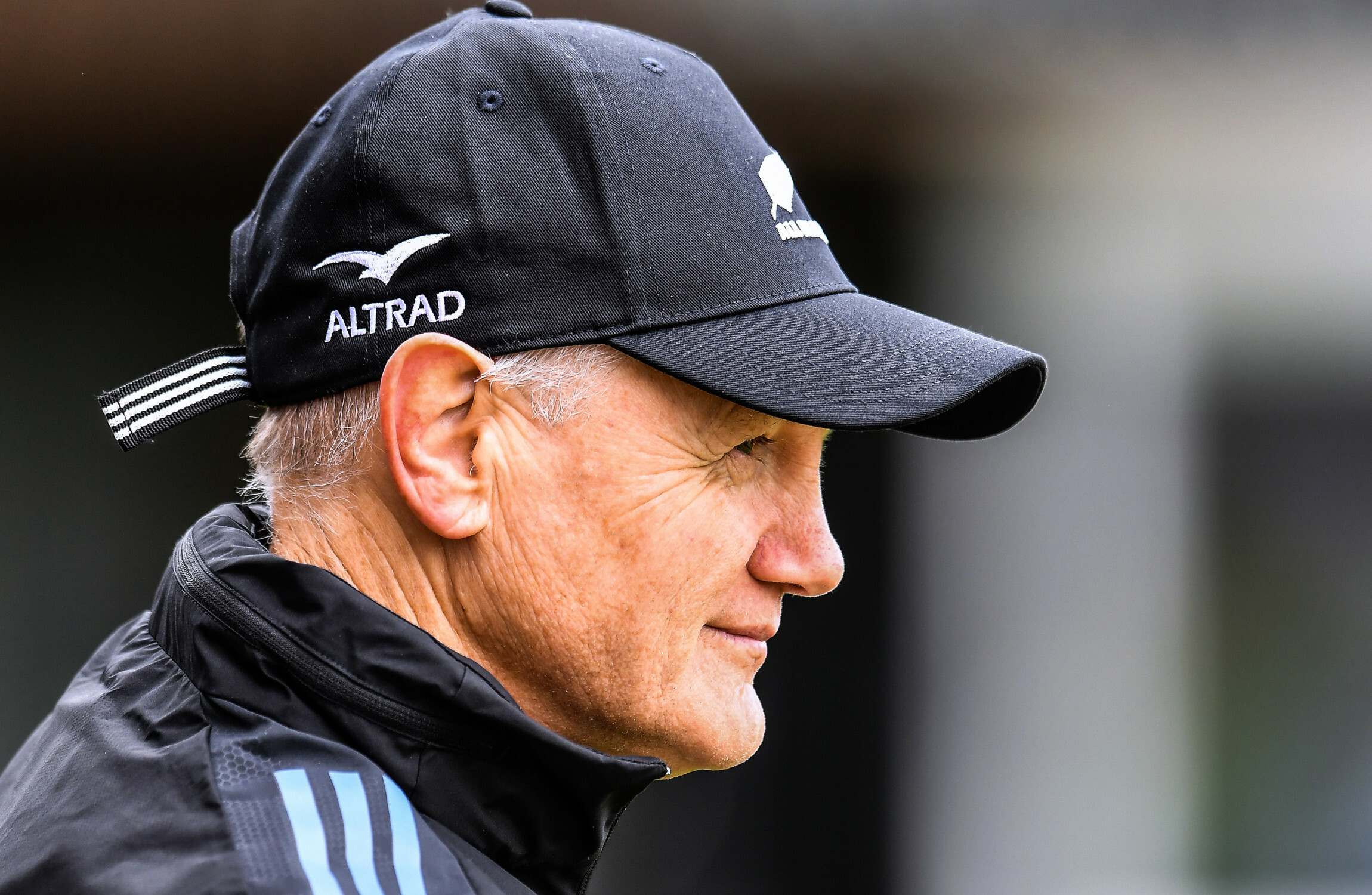 Joe Schmidt and the All Blacks recognise the road to redemption - Vimarsana News