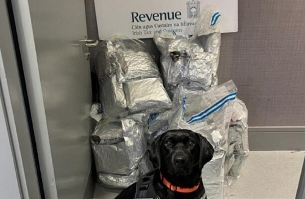 Man (20s) arrested after €700,000 worth of herbal cannabis seized at ...