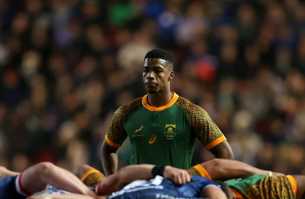 Springboks provide update after Williams concussed 10 seconds into ...