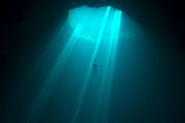 The Remote: An exhilarating documentary on the life of an Irish free-diver, and some Noël Browne - Vimarsana News