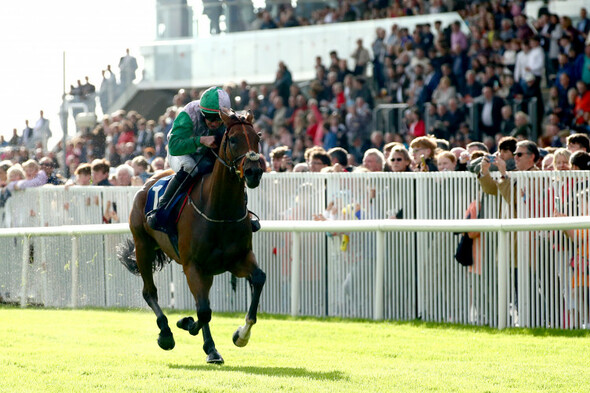 Teed Up digs deep to cling feature event on opening day of Galway festival - Vimarsana News