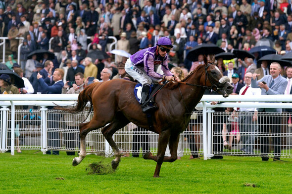 The Goat really is the greatest for Balding at Goodwood - Vimarsana News