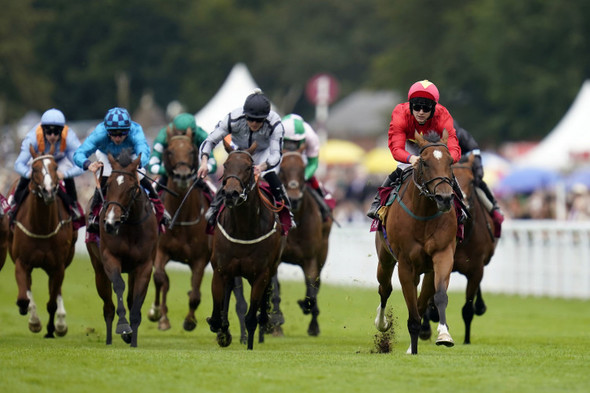 Highfield Princess hits the heights with smooth Goodwood success - Vimarsana News