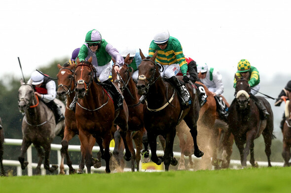 Joy for JP McManus as Brazil bounces to a samba beat in Guinness handicap - Vimarsana News