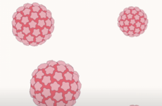 Your HPV cervical screening results