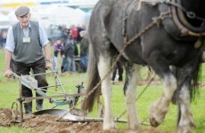 Top readers' comments of the week