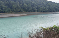 Investigation launched into pollution incident as part of Co Cork river turns blue-grey colour
