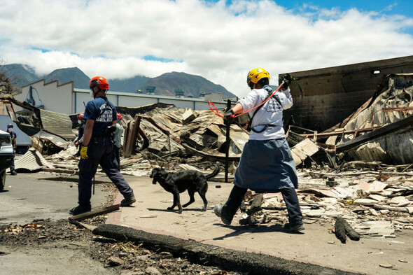 Survivors of Maui wildfires face power cuts as teams work to identify the dead - Vimarsana News