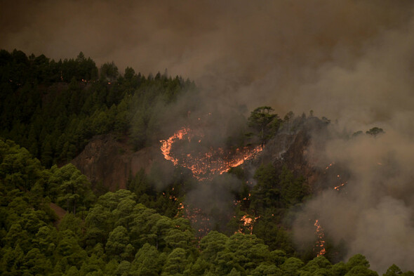 Firefighters battle 'out of control' Tenerife wildfire that has burned through 5,500 acres - Vimarsana News