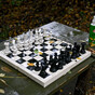 Transgender chess players banned from women's tournaments