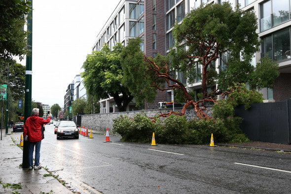 Thousands without power in some parts of the country following Storm Betty - Vimarsana News